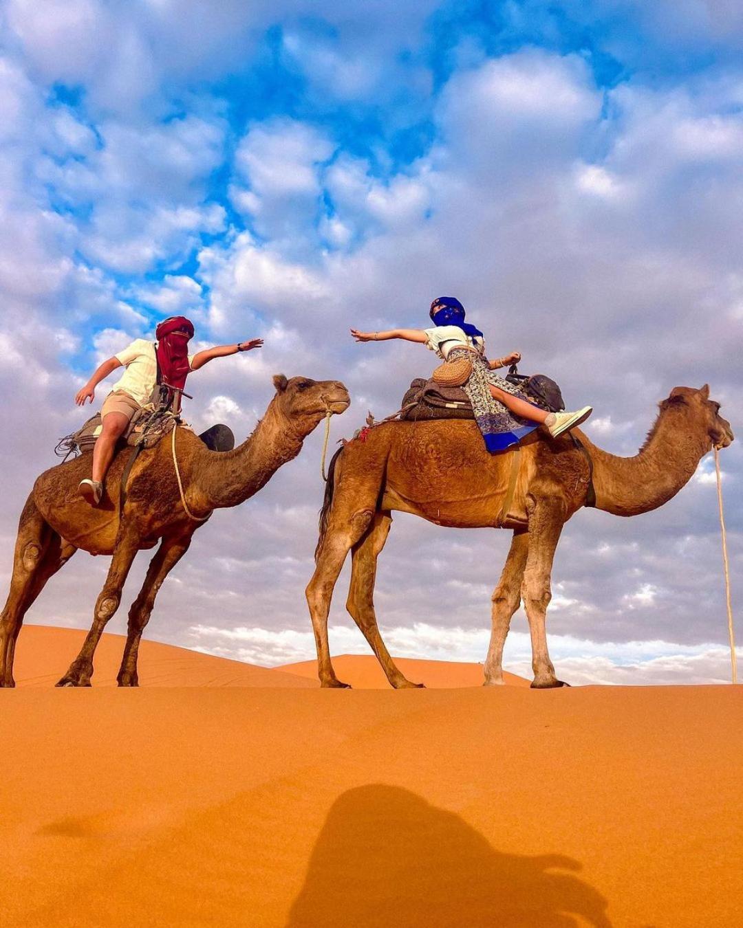 מלון מרזאוגה Sahara Luxury Camp מראה חיצוני תמונה